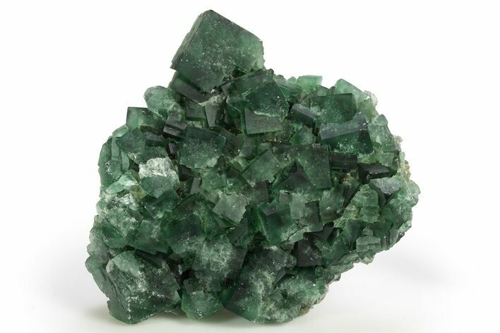 Fluorescent Green Fluorite Cluster - Diana Maria Mine, England #318829